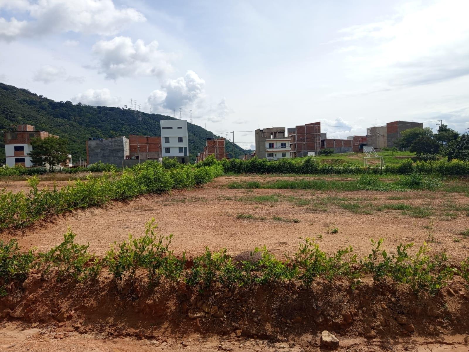 Construya su futuro aquí · fotografía 1