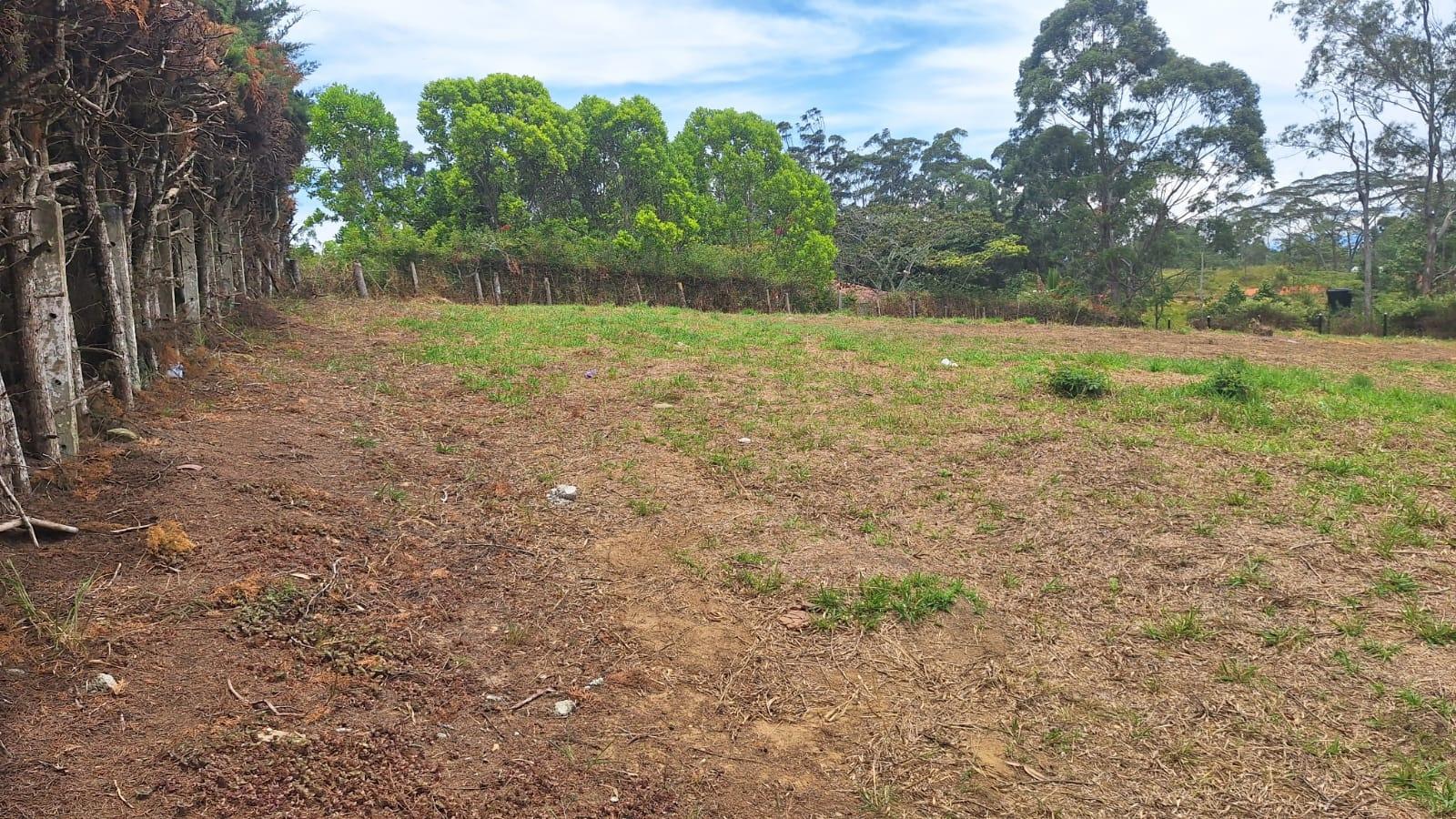 Más de 2.000 m² para hacer realidad tu proyecto campestre · fotografía 1
